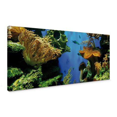 Coral Reef Canvas print | wall-art.com