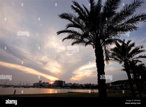 San Antonio, Ibiza at sunset Stock Photo - Alamy