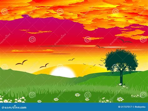 Sunset in the countryside, stock illustration. Illustration of evening ...