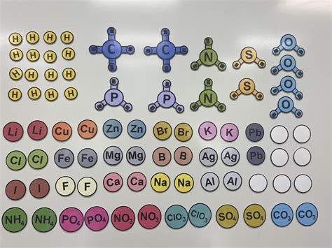 Module 14 - Chemical Reactions — Biology Magnets