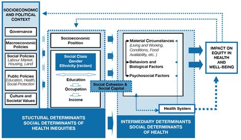 Social determinants of health a conceptual framework | Download ...