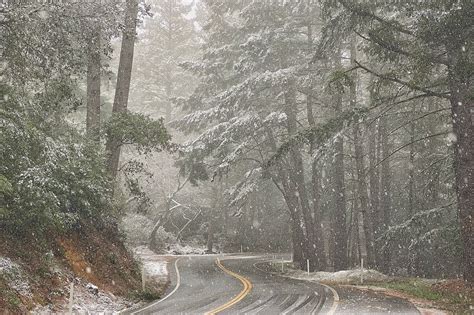 Photos: SF Bay Area Snow Storm Transforms Region Into Winter Wonderland