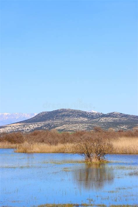 Lake Vrana, Croatia stock image. Image of landscape - 274957665