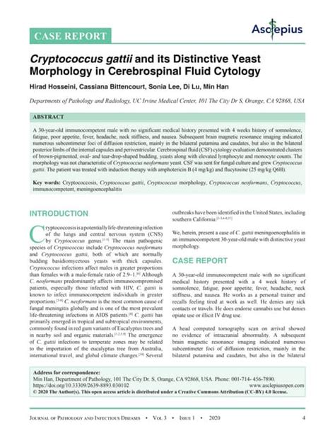 Cryptococcus gattii and its Distinctive Yeast Morphology in ...