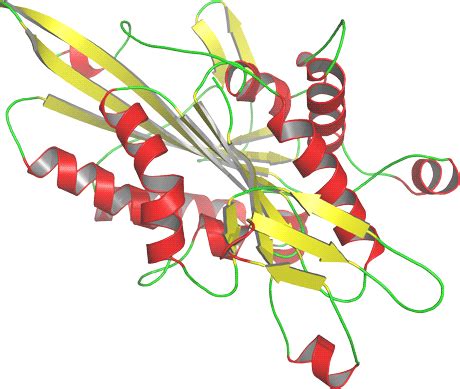 Protein Homology Modelling