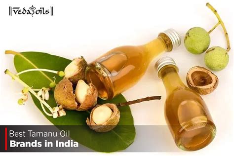 10 Best Tamanu Oil Brands in India – VedaOils