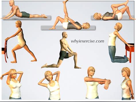 Stretching Exercises For Flexibility At Home - Exercise Poster