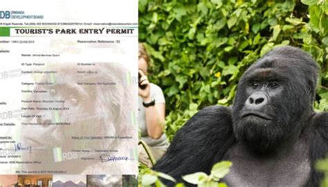 Why Is The Rwandan Gorilla Trekking Permit Expensive