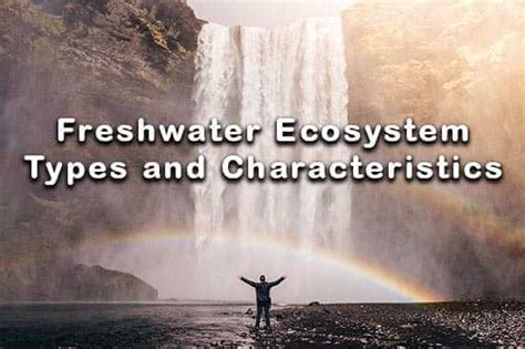 Freshwater Ecosystem: Types, Characteristics & Animals | Earth Reminder