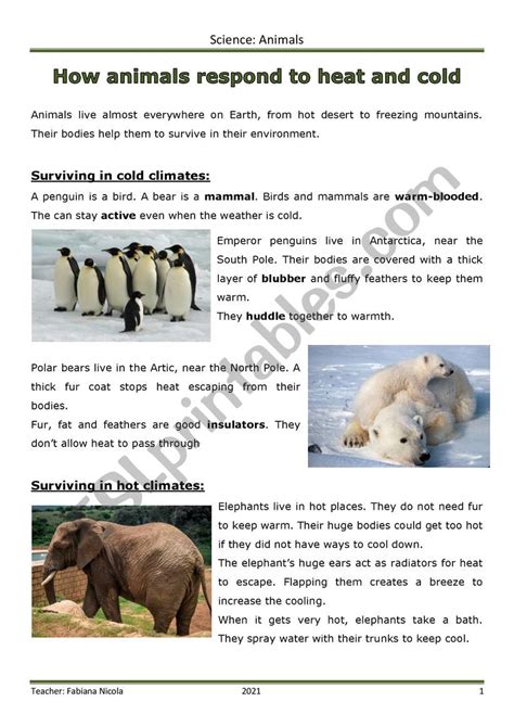 How animals respond to cold and hot weather - ESL worksheet by fabynic