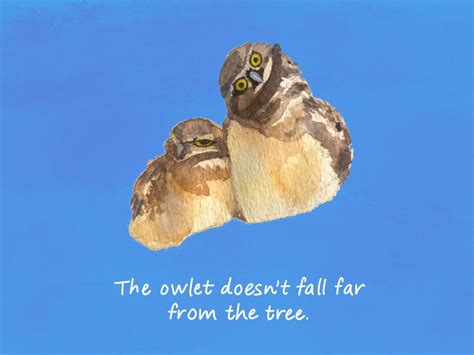 Owl Wisdom | The New Yorker