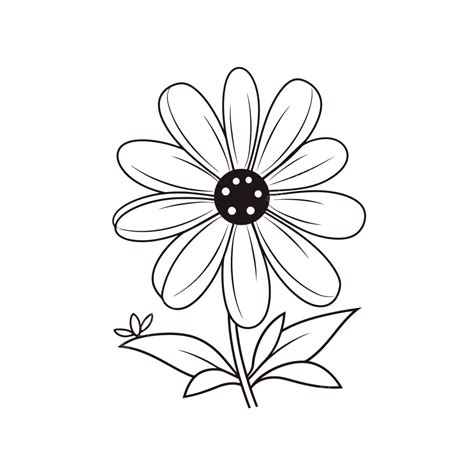Daisy Flower Drawing Tattoo