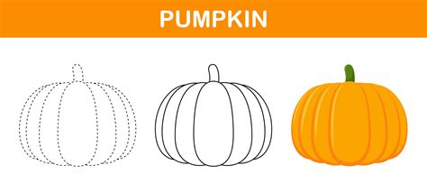 Pumpkin tracing and coloring worksheet for kids 12139542 Vector Art at ...