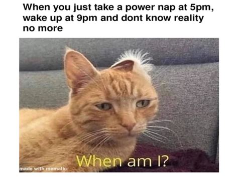 20 Nap Memes for Those Who Cherish Their Zzz's - Funny