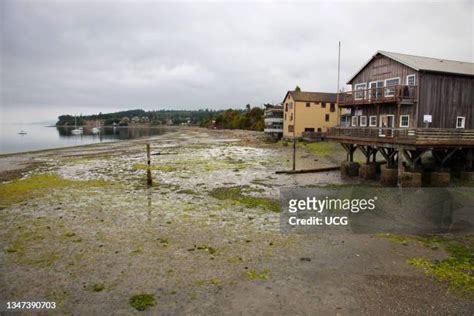 Center Island Washington Photos and Premium High Res Pictures - Getty Images