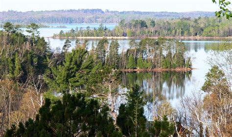 The Waterkeepers of Deer Lake - Neighborhood Greening