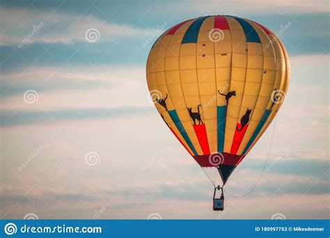 Cat Hot Air Balloon Flying through the Sky Editorial Stock Photo - Image of show, scenic: 180997753