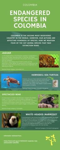 Endangered species in Colombia by Diana - Issuu