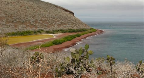 Visita Isla Rábida: El mejor viaje a Isla Rábida, Galápagos, del 2022 ...