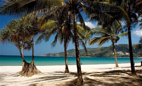 Travellers' Guide To Patong Beach - Wiki Travel Guide - Travellerspoint