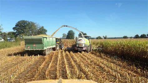 Corn Silage Harvesting (Weavers Custom Harvesting) - YouTube