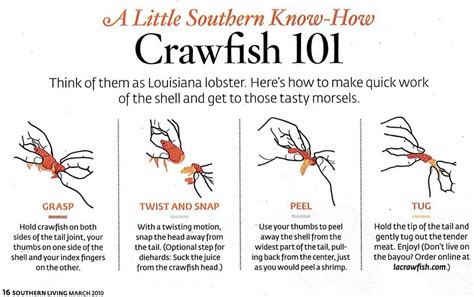 DOUGLAS GREEN ASSOCIATES, INC.: Crawfish 101: How to Eat Crawfish