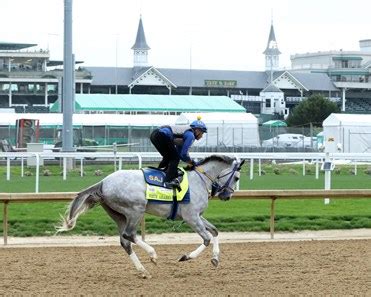 White Abarrio - Horse Profile - BloodHorse