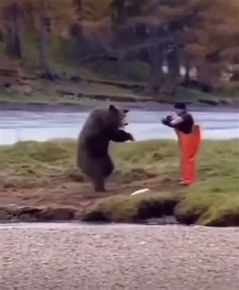 KODIAK BEAR VS HUMAN - YouTube