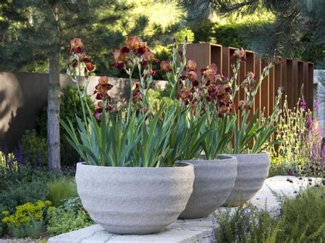 15 Eye-Catching DIY Garden Ideas of Rocks and Pots You’ll Like