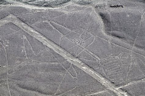 Nazca Lines - Whale - Aerial View Stock Photo - Image: 21351090