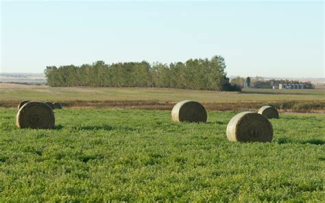 Allan Kettle: Organic Farming in Alberta – OCIA