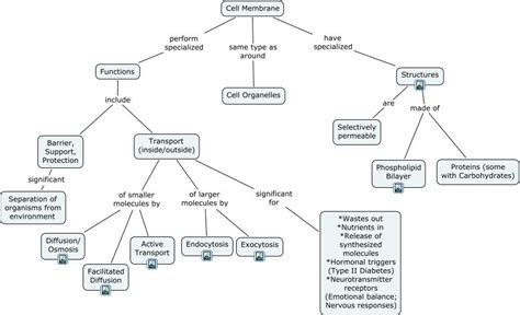 AB Transport Concept Map | Cell membrane transport, Cell membrane, Cell ...