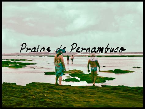 Praias de Pernambuco :: Behance