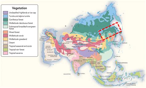 The vegetation map of Asia. Study area NEA is in the red box (Copy from... | Download Scientific ...