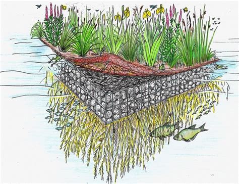 Floating Wetlands - Green Roof Technology