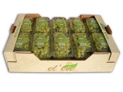 Sultana Grapes products,Turkey Sultana Grapes supplier