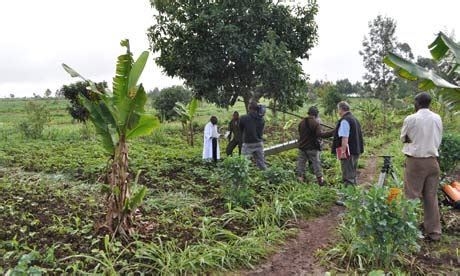 Agriculture : Agriculture In Kenya