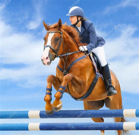 Equestrian sport - show jumping — Stock Photo © tristana #6180172