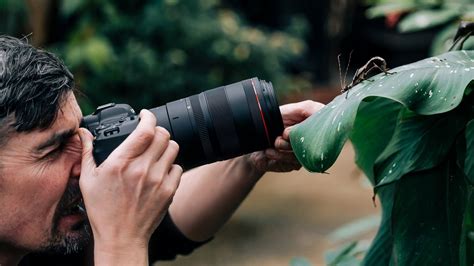 Canon RF 100mm f/2.8L Macro IS USM Lens Price in Pakistan with same day ...