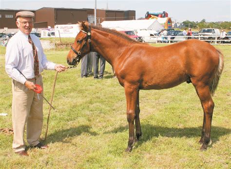 Down Memory Lane | A gallery of beautiful pictures from Longford Leader ...