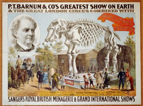 Poster For P.T. Barnum & Circus Featuring The Skeleton Of Jumbo The Elephant History (36 x 24 ...