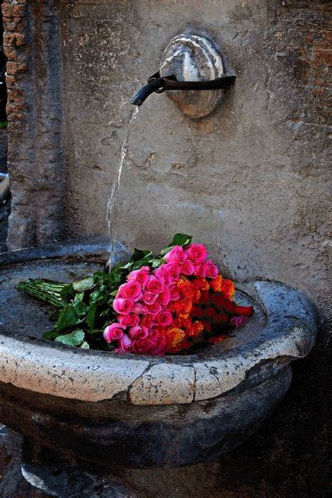 Google+ | Beautiful flowers, Fountains, Purple home