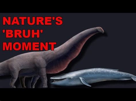 A Dinosaur The Size of a Blue Whale? Bruhathkayosaurus matleyi - YouTube