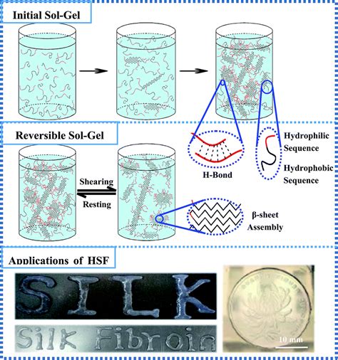 A silk fibroin hydrogel with reversible sol–gel transition - RSC Advances (RSC Publishing) DOI ...