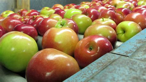 The best kashmiri apples are existing from centuries and modern techniques help us produce more ...