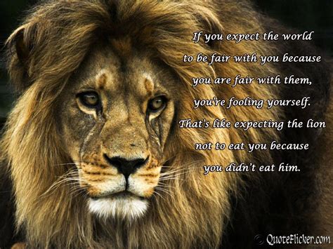 Lion Quotes Wallpapers - Top Free Lion Quotes Backgrounds - WallpaperAccess