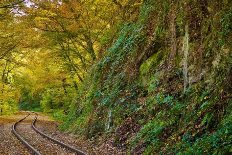 Free Images : landscape, tree, nature, sky, railway, trail, sunlight ...