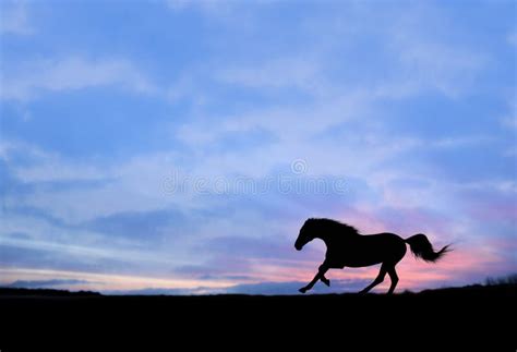 Strong Gallop of Horse at Sunset Silhouette Stock Image - Image of male, fast: 36134869