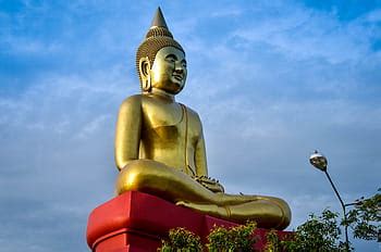 ladakh, tibet, india, statue, goddess, gold, human representation ...