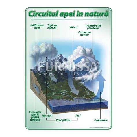 Circuitul apei in natura | Furnissa